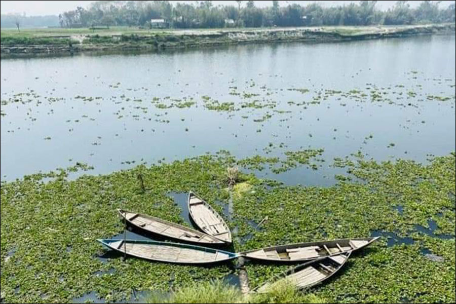 কালিগঙ্গার তটে