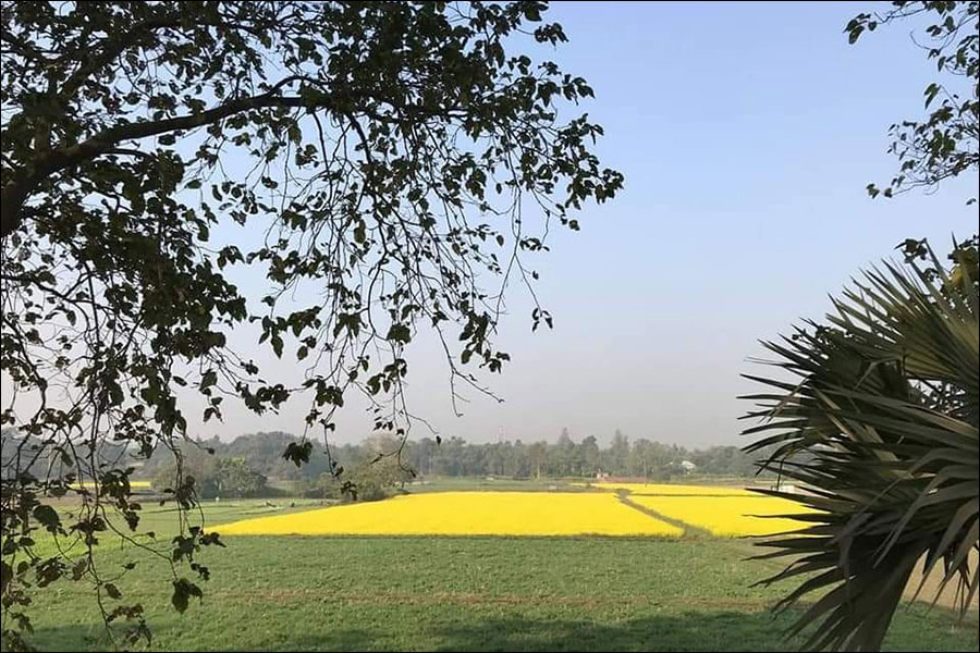 কালিগঙ্গার তটে-দ্বিতীয় পর্ব